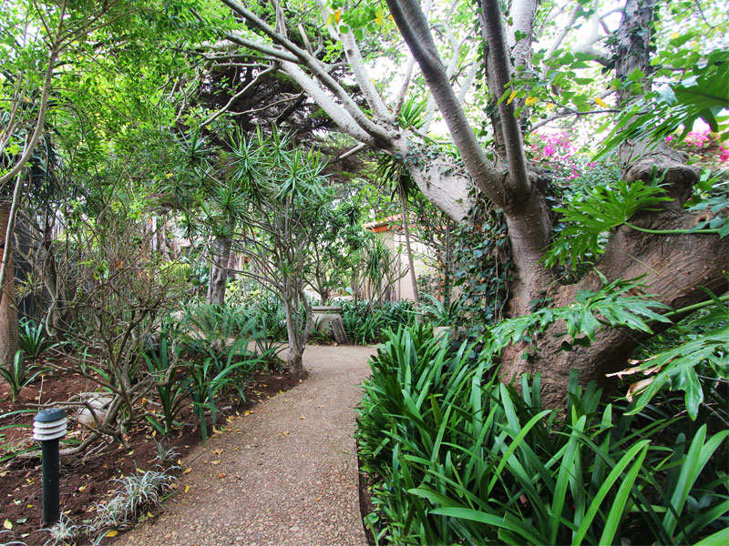 Port Elizabeth   Accommodation  Singa Gardens