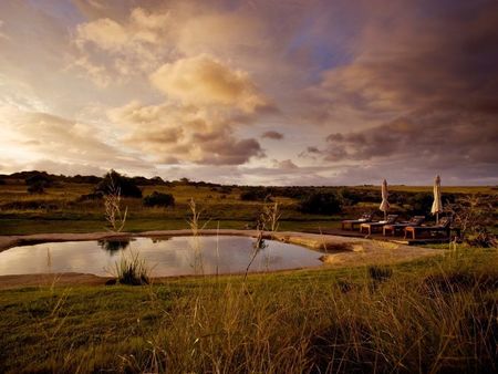 Lion Roars Hotels Safari Blog (4) Lion Roars Hotels Safari Blog (4)