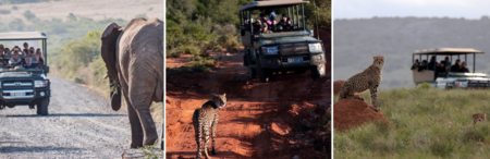 Copy Of Copy Of Conf & Event Banner (1) Copy Of Copy Of Conf & Event Banner (1)