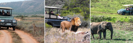 Copy Of Copy Of Conf & Event Banner (3) Copy Of Copy Of Conf & Event Banner (3)