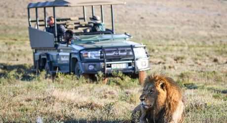 Amakhala Game Reserve2